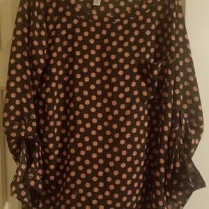 Loft Long Sleeve Sheer Top